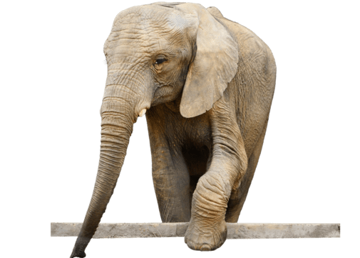 elephant realistic african animal vector elephant realistic realistic style png, Elephant, Realistic, Realistic Style PNG Image and Clipart