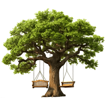 there is a swing hanging from tree in the middle of field there is a swing hanging from a tree in the middle of a field there is a swing hanging from a tree in the middle of a field png, There Is A Swing Hanging, From A Tree In The Middle Of A Field, There Is A Swing Hanging From A Tree In The Middle Of A Field PNG Image and Clipart